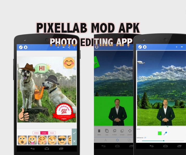 PixelLab Mod APK Photo Editing App